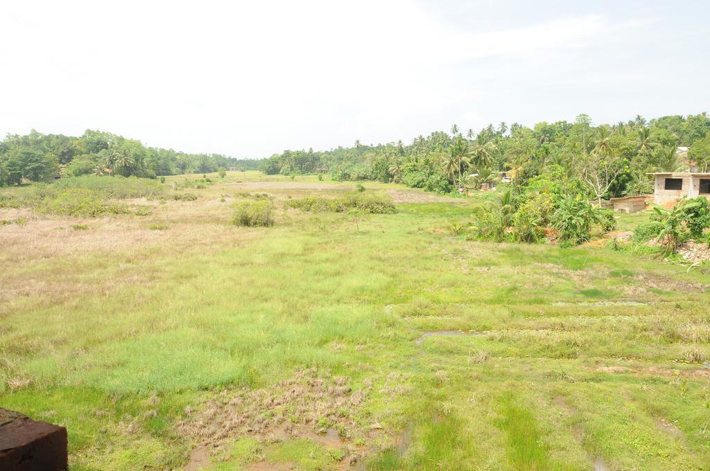 Deutsche Villa Hikkaduwa Exteriör bild